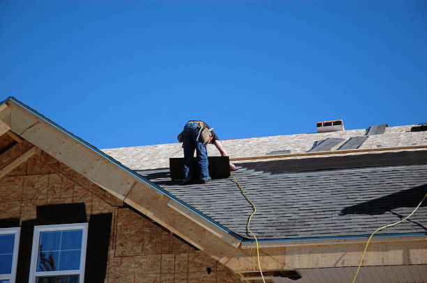Best Roof Gutter Cleaning  in Arcadia, LA